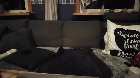 bigswe1 online show from December 16, 4:23 am