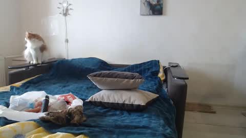 BigTwinsOmg online show from February 24, 7:39 am