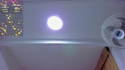 Bilie online show from February 14, 1:56 am