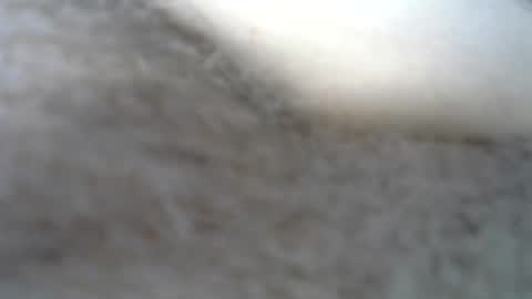Snapshot of billpark20 chatting on May 22, 2:30 am billpark20 online show from May 22, 2:30 am
