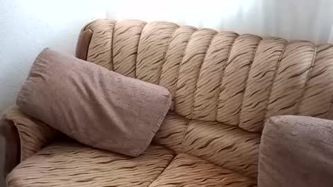 Bill online show from February 19, 1:06 pm