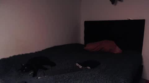 Snapshot of black_firex chatting on October 8, 9:34 pm black_firex online show from October 8, 9:34 pm