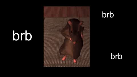  Black Kittie    Wednesday - 1300 - 1900 GMT help me get 100 thumbs up online show from January 20, 1:21 pm