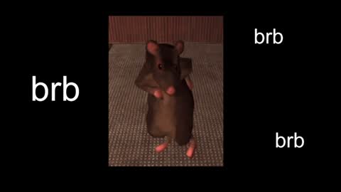  Black Kittie    Wednesday - 1300 - 1900 GMT help me get 100 thumbs up online show from January 31, 1:12 pm