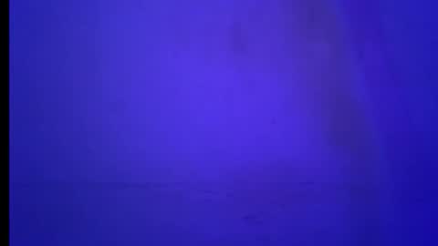 BLACK online show from January 19, 5:55 am