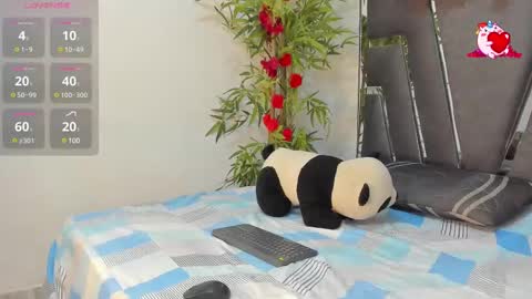 B L A C K  R O S E  online show from February 26, 11:41 am