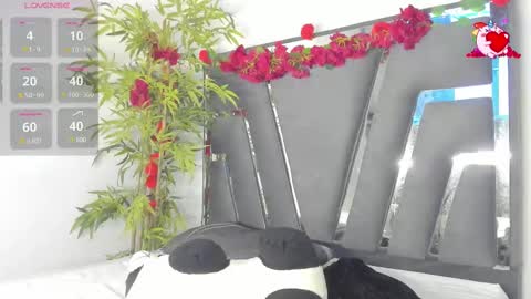 B L A C K  R O S E  online show from March 6, 11:47 am