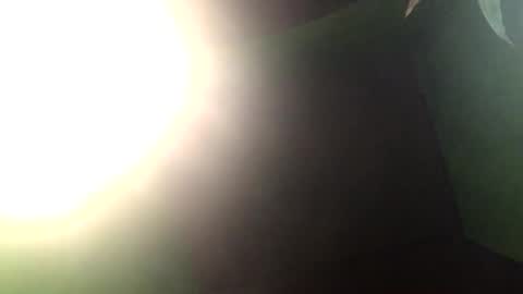 Snapshot of blackasiancockts chatting on December 27, 1:50 pm Crystal online show from December 27, 1:50 pm