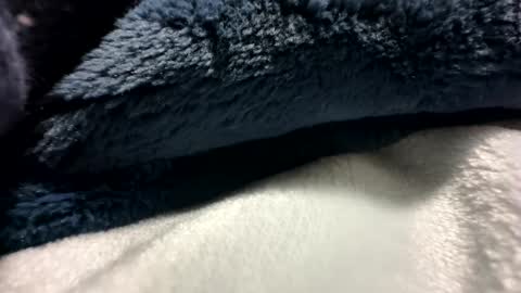 Snapshot of blackhammer8787 chatting on December 8, 6:43 am blackhammer8787 online show from December 8, 6:43 am