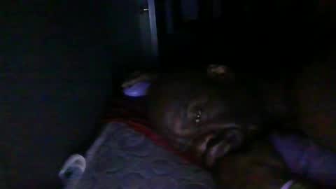 blackteddybear online show from February 18, 3:24 am