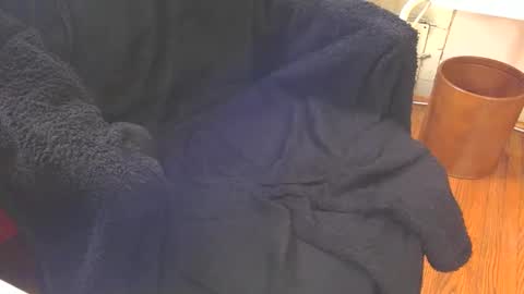 Snapshot of blackuncut55 chatting on February 18, 6:47 pm Aqua online show from February 18, 6:47 pm