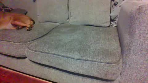 blaw_1321 online show from September 29, 4:50 am