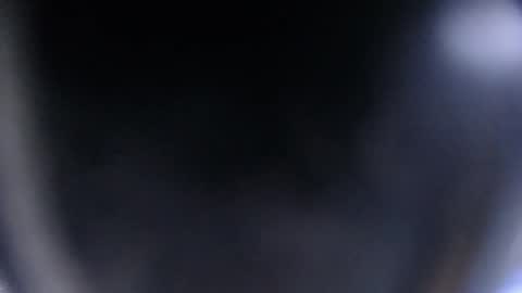 Snapshot of blue_morningstar chatting on October 12, 1:43 pm bunbury online show from October 12, 1:43 pm