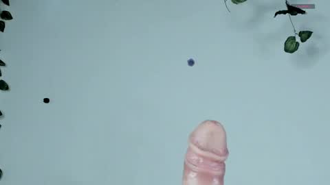 Sophie  online show from April 12, 9:42 pm