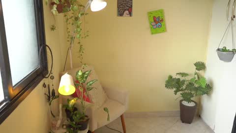 FLORAA online show from January 26, 12:33 pm