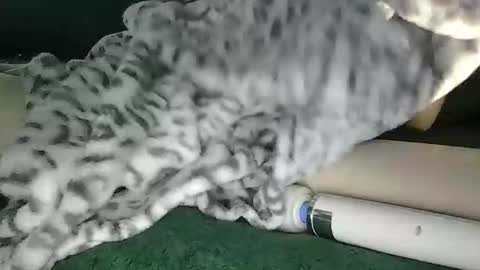 lyss online show from October 28, 9:39 pm