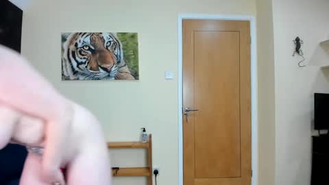 to see lou offline  online show from December 7, 11:18 am