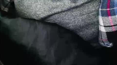 Snapshot of bobbysmith0419 chatting on December 15, 4:50 am HardGuy online show from December 15, 4:50 am