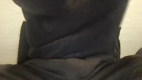 boblight221 online show from January 9, 9:58 pm