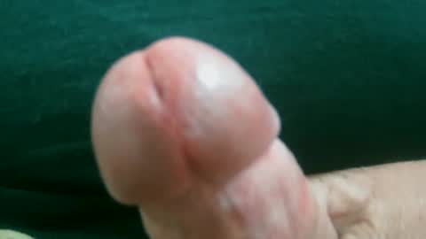 bobrossisalive online show from February 16, 7:54 pm