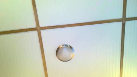 Snapshot of bodacioustits chatting on November 2, 7:22 am bodacioustits online show from November 2, 7:22 am