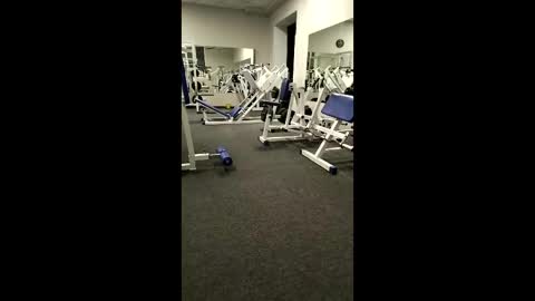 BODI online show from April 2, 5:54 pm