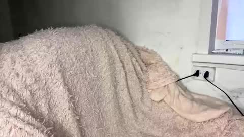 bohemia777 online show from April 7, 1:33 pm