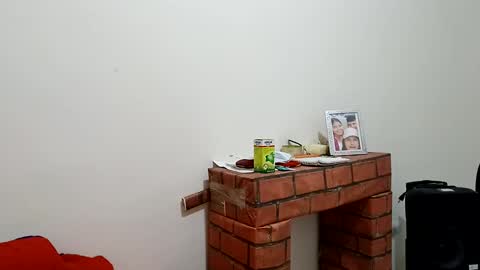 Snapshot of boner_steve chatting on January 16, 1:27 am Boner Steve online show from January 16, 1:27 am