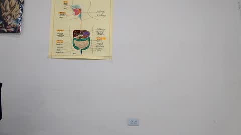 Snapshot of boner_steve chatting on September 14, 3:49 am Boner Steve online show from September 14, 3:49 am