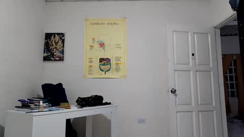 Snapshot of boner_steve chatting on September 23, 3:09 am Boner Steve online show from September 23, 3:09 am