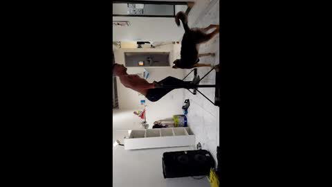 Snapshot of boner_steve chatting on November 3, 7:26 pm Boner Steve online show from November 3, 7:26 pm