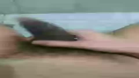 bonnie_021 online show from August 4, 6:38 am