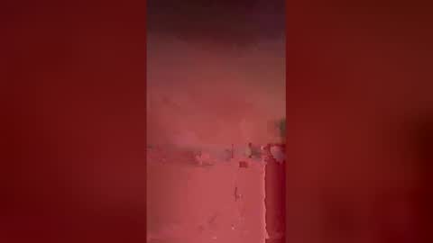 bonnieNclyde online show from January 17, 11:59 am