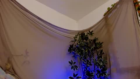   online show from October 11, 11:47 pm