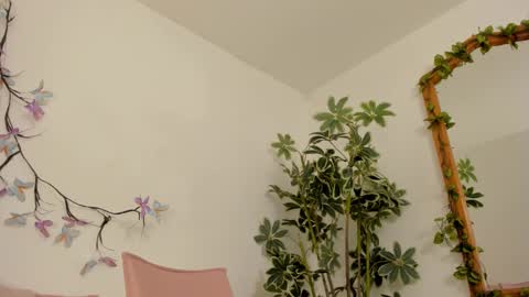   online show from November 27, 11:51 pm