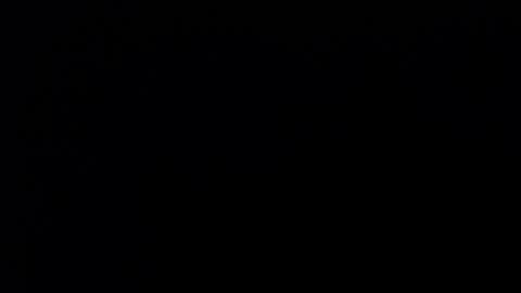 Soffy Brooks Independent model online show from December 12, 8:47 am