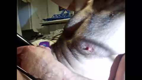 Snapshot of bonop1 chatting on March 19, 10:19 am bonop1 online show from March 19, 10:19 am