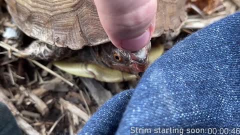 Booker Baxton online show from December 21, 4:09 am