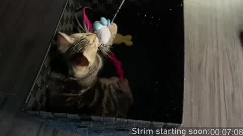 Booker Baxton online show from January 3, 4:00 am