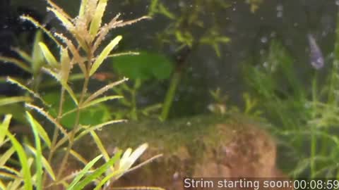 Booker Baxton online show from January 19, 4:01 am