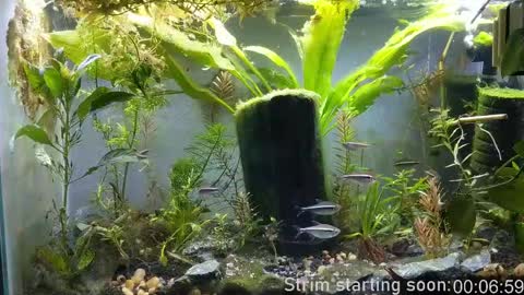 Booker Baxton online show from February 11, 4:01 am