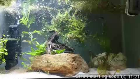 Booker Baxton online show from September 21, 2:57 am