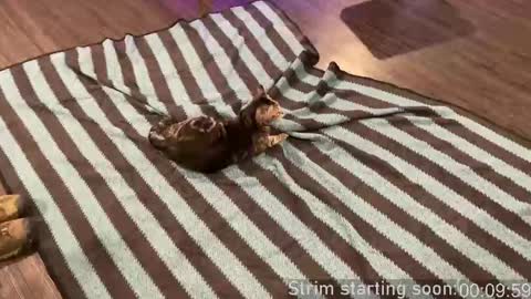 Booker Baxton online show from September 24, 2:59 am