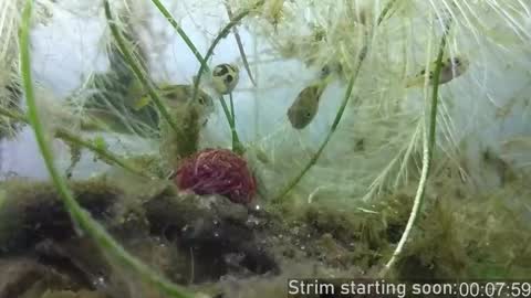 Booker Baxton online show from October 24, 3:03 am