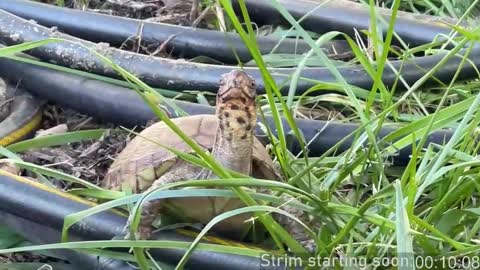 Booker Baxton online show from October 30, 2:57 am