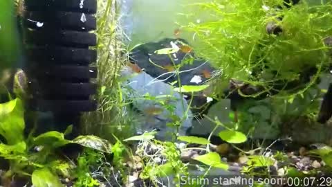 Booker Baxton online show from November 23, 4:01 am