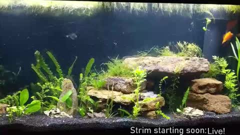 Booker Baxton online show from December 4, 4:11 am