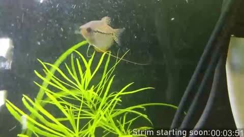 Booker Baxton online show from January 14, 4:07 am