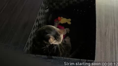 Booker Baxton online show from February 24, 3:59 am