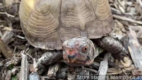 Booker Baxton online show from April 1, 3:07 am